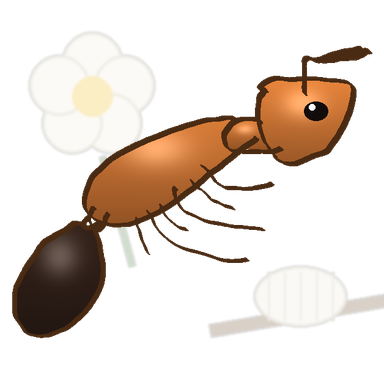 Tetramorium bicarinatum card art